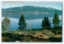 1958 Lake Almanor Mountains Groves Trees California CA Vintage Posted Postcard picture