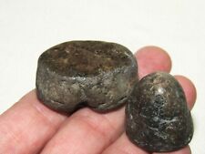 2x Late Triassic/Jurassic Marine Coprolites with Hand Polished Facets picture