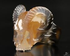 US Size 8 Premium Brazilian Agate Hand Carved Crystal Skull Ring picture