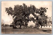 Postcard Entrance To Brazoria Texas Large Gate Dirt Road CYKO c 1904 Rare RPPC picture