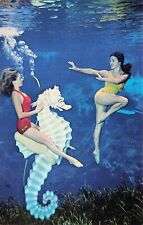 Weeki Wachee Mermaid Show FL Florida Girls Bikini Amusement Park Postcard A61 picture