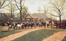 UPICK POSTCARD Riding Animals New York Zoological Park Unposted c1910 picture
