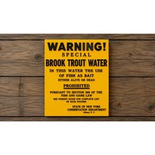 New York State Warning Special Brook Trout Water Sign Fish Environmental Conserv picture