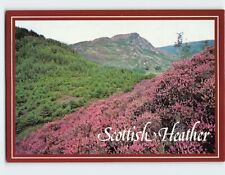 Postcard Scottish Heather, Scotland picture