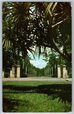 Miami, Florida FL - Entrance to Hialeah Race - New Club House - Vintage Postcard picture