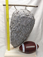 MASSIVE Bald Faced Hornet Nest On Custom Stand and In Pristine Condition picture