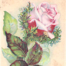 Antique 1880s Ozone Soap Fairchild Shelton Flowers Roses Victorian Trading Card picture