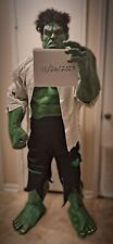 CUSTOM DELUXE INCREDIBLE HULK ADULT COSPLAY/COSTUME picture
