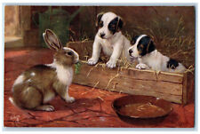 Postcard Terrier Puppies with Bunny c1910 Unposted Oilette Tuck Dogs picture