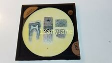 Glass Magic Lantern Slide DUF HUMAN PHYSIOLOGY DRAWING INTERNAL PARTS picture