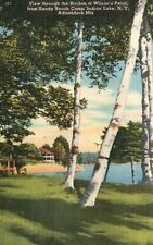 Vintage Postcard 1930s Birches Of Wilson's Point Sandy Beach Camp Indian Lake NY picture