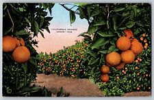 California CA - Golden Fruit - Orange Grove - Vintage Postcard - Posted 1947 picture