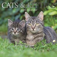 2023 Wall Calendar - Cats & Kittens, 12 x 12 Inch Monthly, 16-Month, Animal picture