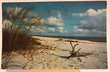 Virginia Beach Postcard c. 1966 picture