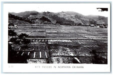 Japan Postcard Rice Paddies in North Okinawa c1920s Unposted Antique RPPC Photo picture