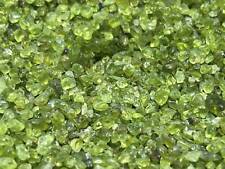 Tumbled Peridot Crystals Small Gemstone Chips (1/2 lb) 8 oz Bulk Wholesale Lot picture
