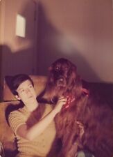 Vintage Found Photo - 1975 - Pretty Irish Woman Poses & Plays With Irish Setter picture