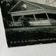 Old 1909 Baltimore & Ohio Railroad B & O. R.R. Pavilion Brandywine Springs DEL picture