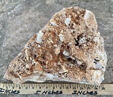 *UNIQUE* Big 22 Lb Sparkling Crystalized Sea Fossil Conglomerate Display Rock TX picture