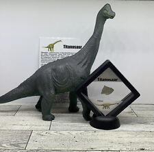 Titanosaur Extinct Dinosaur Egg Shell Fossil Piece with Brachiosaurus Toy picture