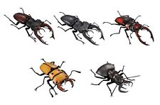 The Diversity of Life on Earth Stag Beetle Vol 5 Bandai Gashapon set of 5 picture