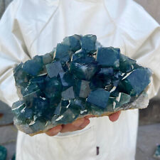 5.5LB Large Natural green cubic fluorite quartz crystal cluster mineral specimen picture