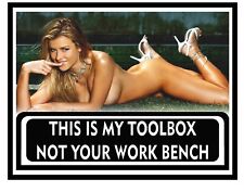 Funny Toolbox Sticker - Perfect for Garage - Sexy Girl Tool Box MADE IN USA A001 picture