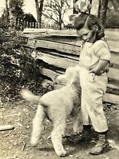 ZF Photograph Girl With Pet Ewe Lamb Friend Sheep Farm Country 1910-20's picture