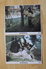The Mutations Lot of 2 Original 1974 8x10 MLC Monster Horror Lobby Cards picture