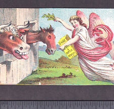 Dr Haas Victorian Angel Remedy Farm Horse Cattle Hog Cow Cure TRIMMED Trade Card picture