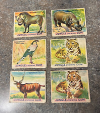 Lot of 6 Jungle Chewing Gum Safari Animal Trading Cards picture
