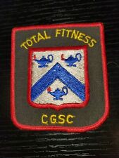 1960s 70s US Army Physical Fitness Command Detachment Patch picture