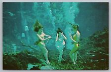 Weeki Wachee Spring Cinderella and the Mermaids Postcard picture