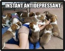 Funny Dog Humor Instant Antidepressant Refrigerator Magnet  picture