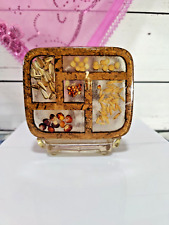 Retro 70's Lucite Resin Napkin Holder Nature Seeds Rice Acrylic Vintage Boho picture