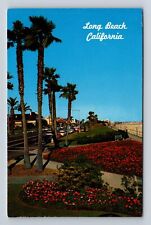 Long Beach CA-California, Bluff Park, Catalina Channel Souvenir Vintage Postcard picture