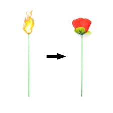 10pcs Torch to Rose Fire Magic Trick Flame Appearing Flower picture