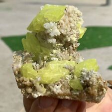 161G Minerals ** LARGE NATIVE SULPHUR OnMATRIX Sicily picture