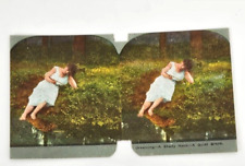 Victorian Stereograph Humorous~Dreaming A Shady Brook A Quiet Nook~Book~Stream picture
