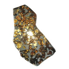 40.5g Seymchan pallasite Meteorite slice  QA323 picture