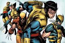 Marvel Comics - Wolverine - Evolution Poster picture