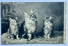 Landors Cat Studies. Mother Cat With Kittens. Vintage Postcard 1904 picture