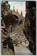 Seal Harbor, Maine ME - Gorge-Raven Cliff - Vintage Postcard - Unposted picture
