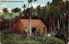 Postcard Native Homestead in the Hawaiian Islands picture