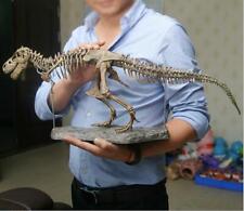 Dinosaur Skeleton Fossils Bones Puzzle Kids Toy Collection Animal 4D Model Decor picture
