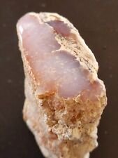 Petrified Wood  Chacedony Texas Springs Nevada picture