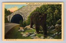 TN-Tennessee, Bear in Great Smoky Mountains Natl Park, c1942 Vintage Postcard picture