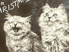 Cat Postcard Real Photo RPPC Rotograph Co Travelers Home For Christmas Umbrella picture