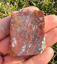 Amazing Slab Scenic Red Agate, High Quality Slab, 100% Natural, Hand Polished picture