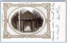 1906 MOUNTAIN LAKE PARK MARYLAND MD PILGRIM'S REST FANCY BORDER ANTIQUE POSTCARD picture